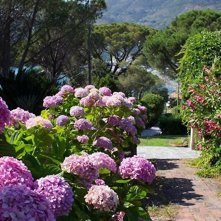 Villa Mesco Levanto Exterior foto