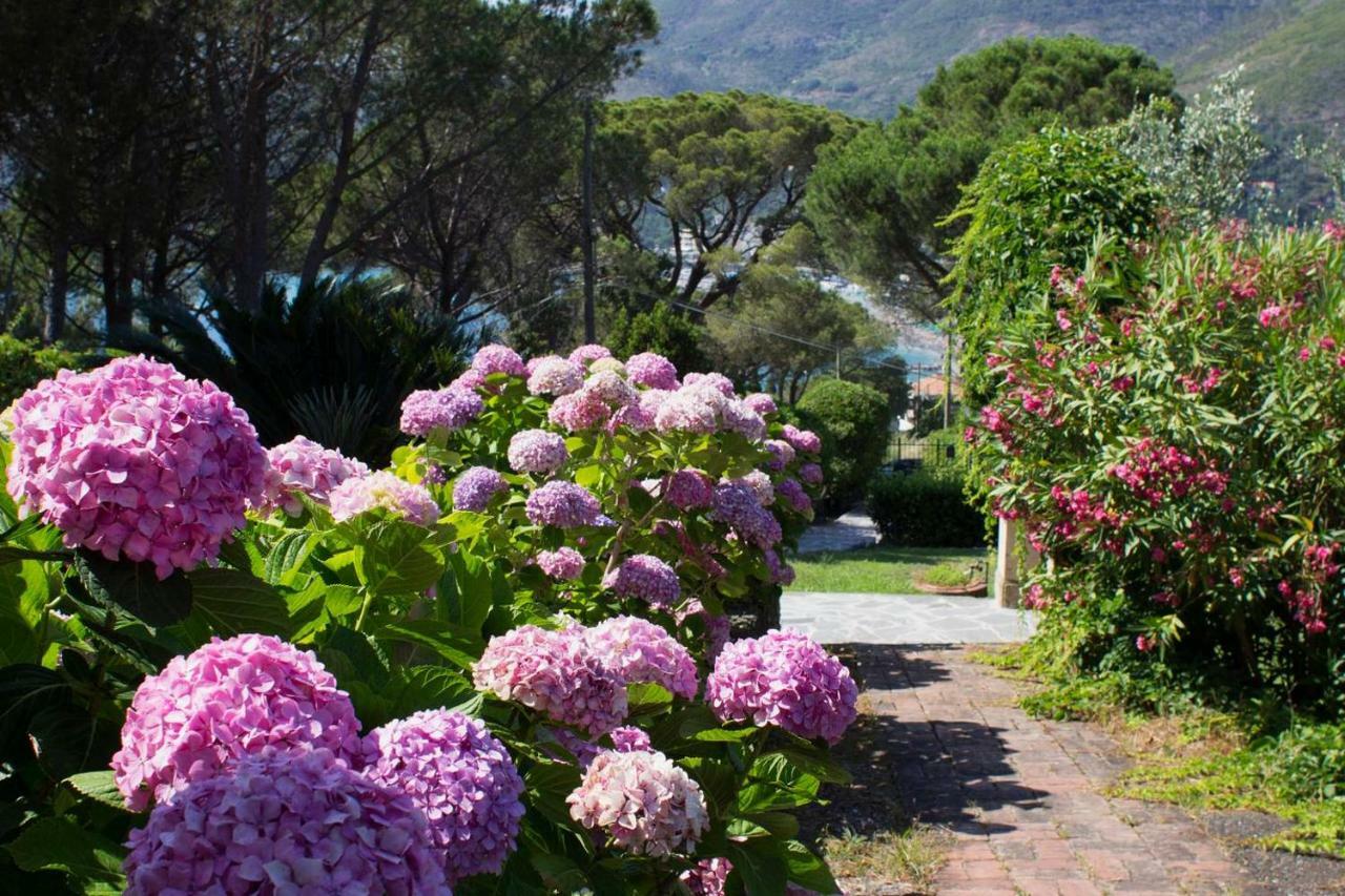 Villa Mesco Levanto Exterior foto