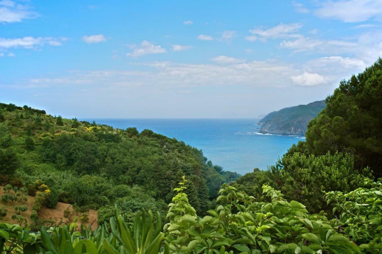 Villa Mesco Levanto Exterior foto